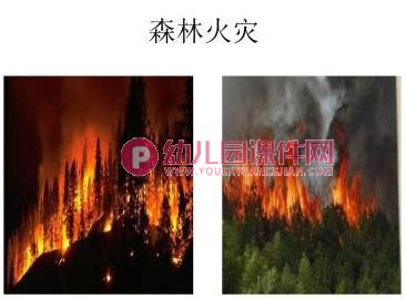 大班安全课件PPT《从“火”说起》PPT课件图片