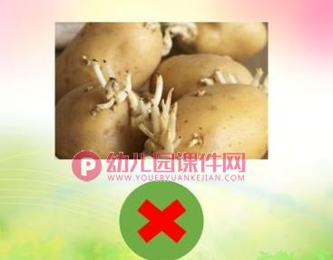 大班安全课件PPT《食品安全》PPT课件图片