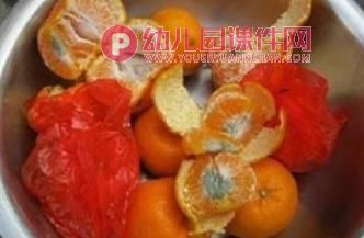 大班健康活动课件PPT《变质的食物不要吃》PPT课件图片