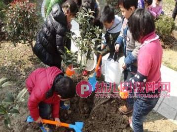 大班健康课件PPT《地球与大树》PPT课件图片