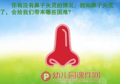 大班健康课件PPT《鼻子的故事》PPT课件音频图片