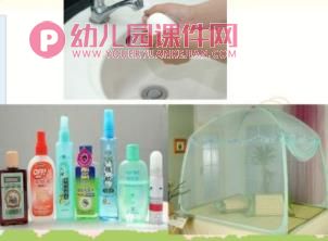 大班健康课件PPT《预防蚊虫》PPT课件图片