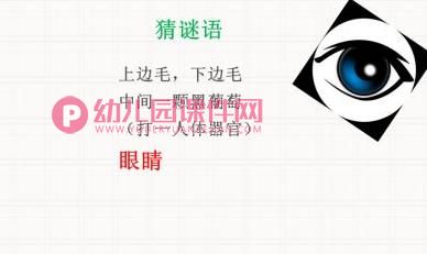 大班健康保健课件PPT《眼睛的秘密》PPT课件图片