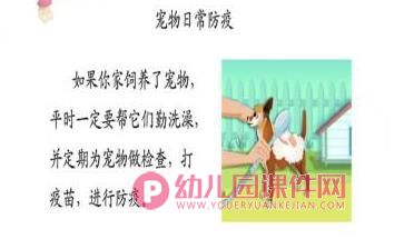 大班健康课件PPT《小猫小狗会伤人》PPT课件图片