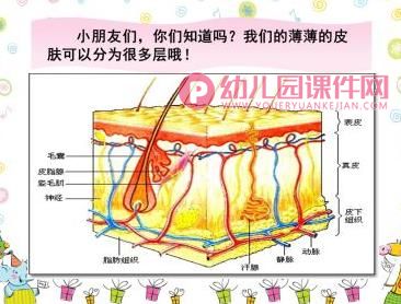 大班健康课件PPT《保护我们的皮肤》PPT课件图片