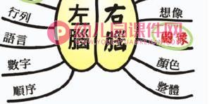 大班健康课件PPT《大脑总司令》PPT课件图片