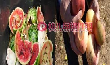 大班健康课件PPT《垃圾分类》PPT课件图片
