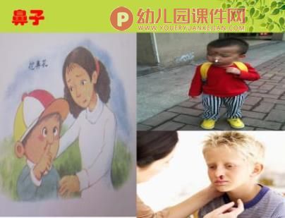 大班健康活动课件PPT《有用的五官》PPT课件图片