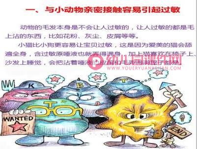 大班健康课件PPT《小猫小狗会伤人》PPT课件图片