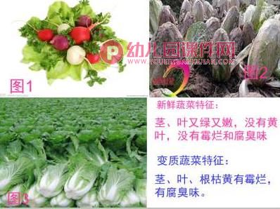 大班健康课件PPT《过期的食物我不吃》PPT课件图片