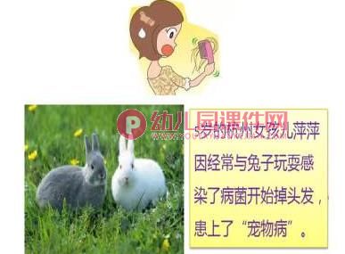 大班健康课件PPT《小猫小狗会伤人》PPT课件图片