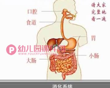 大班健康课件PPT《食物旅行记》PPT课件图片