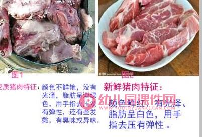 大班健康课件PPT《过期的食物我不吃》PPT课件图片