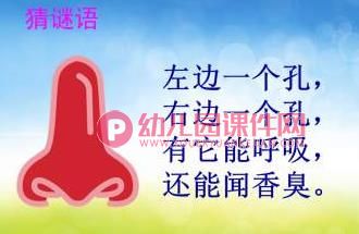 大班健康课件PPT《鼻子的故事》PPT课件音频图片