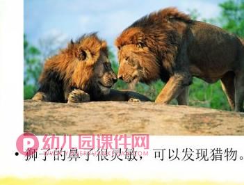 大班综合健康课件PPT《奇妙的鼻子》PPT课件图片