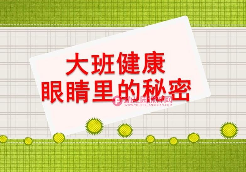 大班健康保健课件PPT《眼睛的秘密》PPT课件图片
