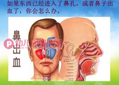 大班健康课件PPT《鼻子的故事》PPT课件音频图片