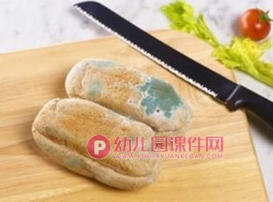大班健康活动课件PPT《变质的食物不要吃》PPT课件图片