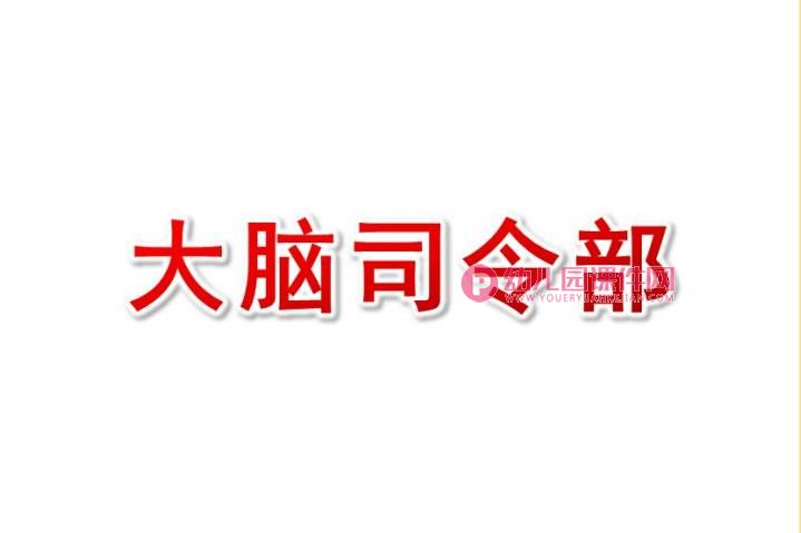 大班健康课件PPT《大脑总司令》PPT课件图片