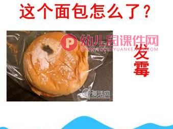 大班健康课件PPT《食品安全》PPT课件图片