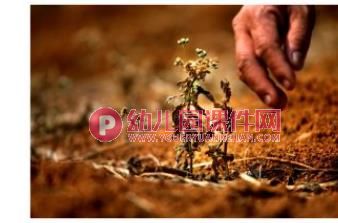 小班健康课件PPT《多喝白开水》PPT课件图片