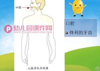 大班健康课件PPT《小豆子的旅行》PPT课件音频图片