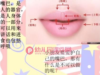 大班健康教育课件PPT《小嘴巴》PPT课件图片