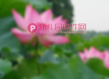 大班健康课件PPT《小眼睛要爱护》PPT课件图片