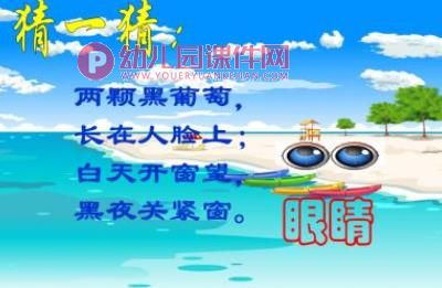 大班健康教育课件PPT《保护视力，珍爱眼睛》PPT课件图片