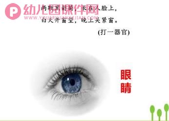 大班健康课件PPT《小眼睛要爱护》PPT课件图片