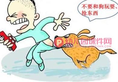 大班健康课件PPT《小猫小狗会伤人》PPT课件图片