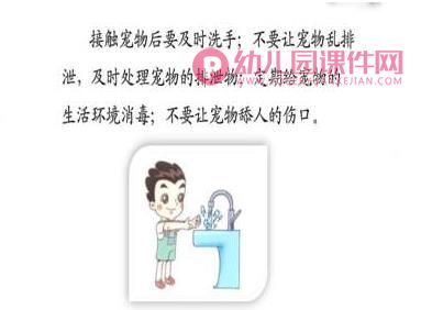 大班健康课件PPT《小猫小狗会伤人》PPT课件图片