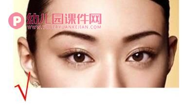 大班健康课件PPT《对对错错说眼睛》PPT课件图片
