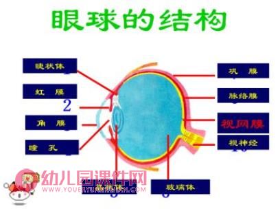 大班健康活动课件PPT《爱护眼睛 保护视力》PPT课件图片