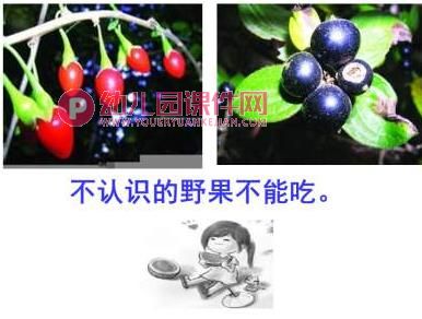 大班健康课件PPT《过期的食物我不吃》PPT课件图片