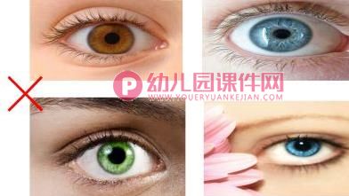 大班健康课件PPT《对对错错说眼睛》PPT课件图片