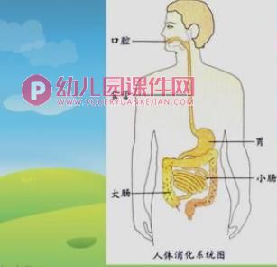 大班健康课件PPT《食物旅行记》PPT课件图片