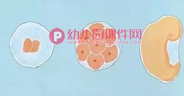 大班健康课件PPT《“小天使”的秘密》PPT课件图片