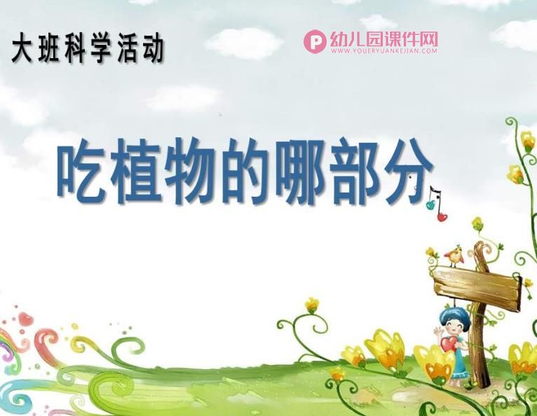 大班科学优质课课件PPT《吃植物的哪部分》PPT课件图片