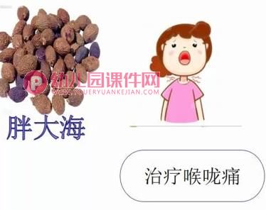 大班科学公开课课件PPT《神奇的中草药》PPT课件图片