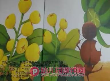 大班科学优质课课件PPT《种子的旅行》PPT课件图片