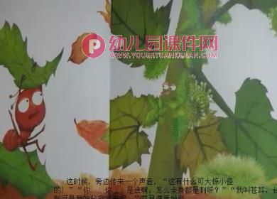 大班科学优质课课件PPT《种子的旅行》PPT课件图片