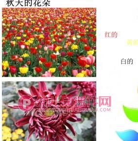 大班科学课件PPT《秋天的色彩》PPT课件图片