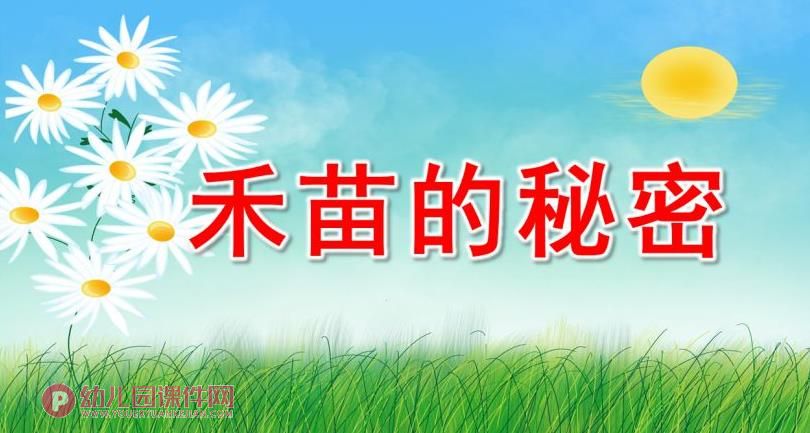 大班科学课件PPT《禾苗的秘密》PPT课件图片