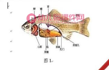 大班科学课件PPT《潜水艇的秘密》PPT课件图片