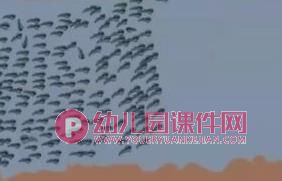 大班科学公开课课件PPT《我从哪里来》PPT课件视频图片