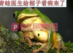 大班科学活动课件PPT《神奇的食物链》PPT课件图片