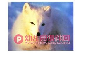 大班科学课件PPT《地球仪上的中国》PPT课件图片