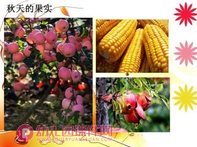 大班科学课件PPT《秋天的色彩》PPT课件图片