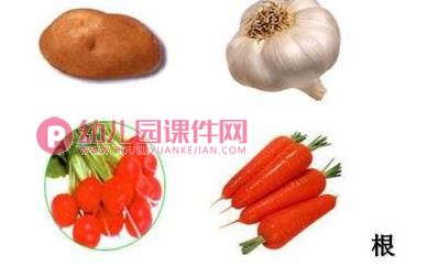 大班科学优质课课件PPT《吃植物的哪部分》PPT课件图片